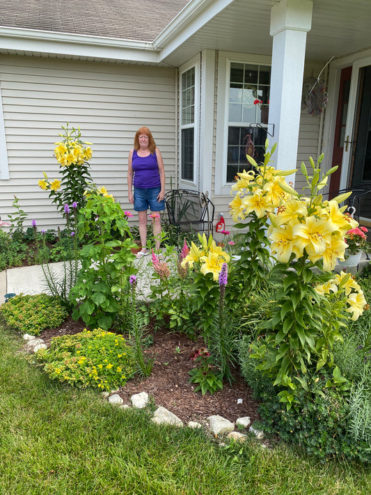 My butterfly and bee gardens