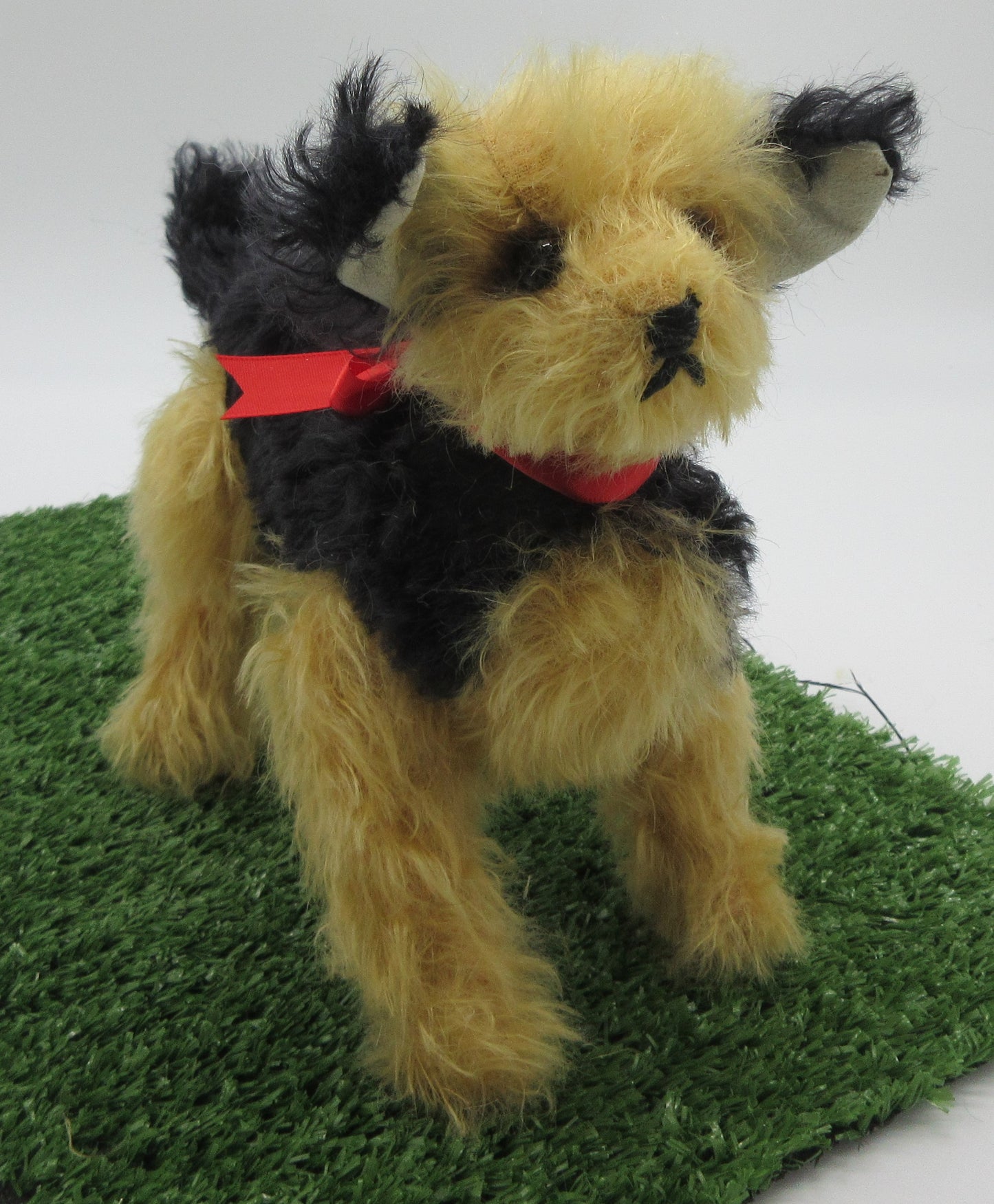 Yorkshire Terrier Puppy