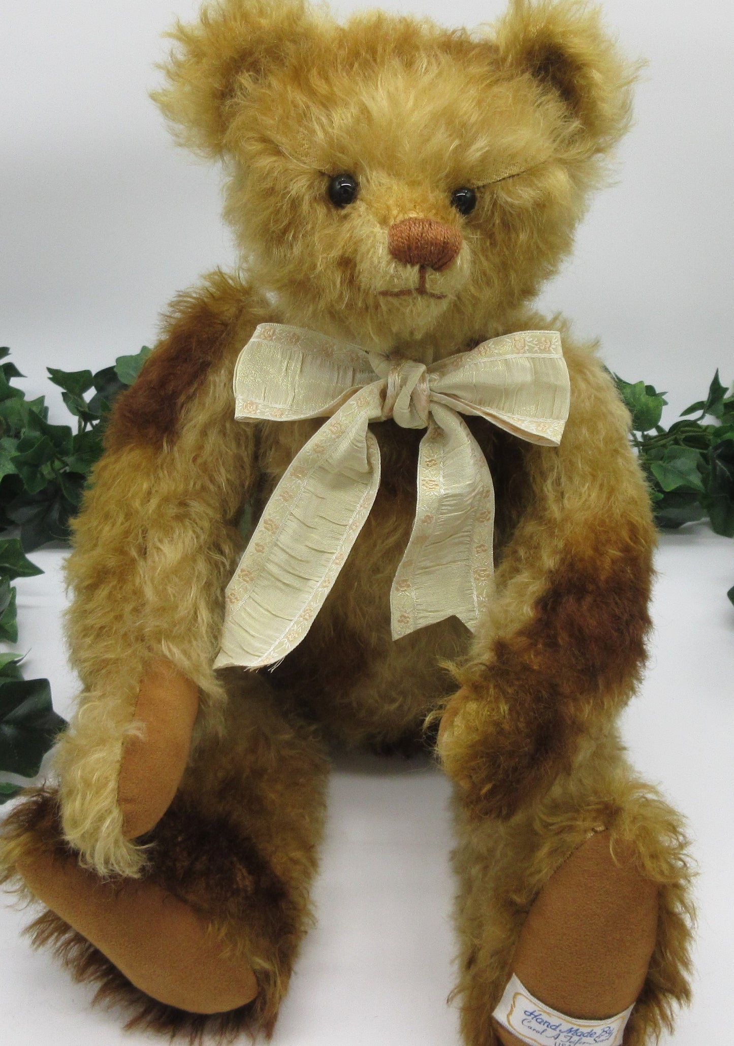 Teddy Bear 'one of a kind'