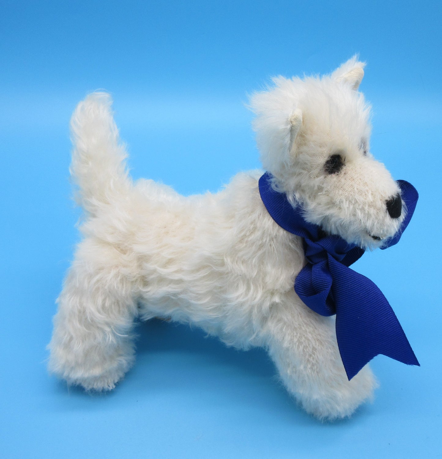 West Highland Terrier
