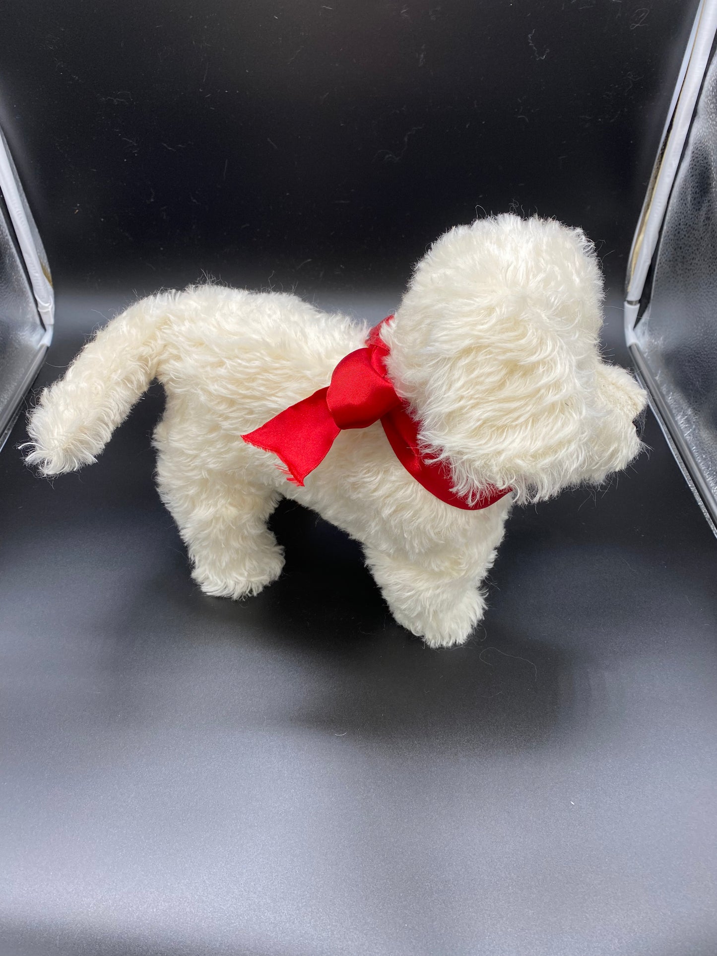 Bichon