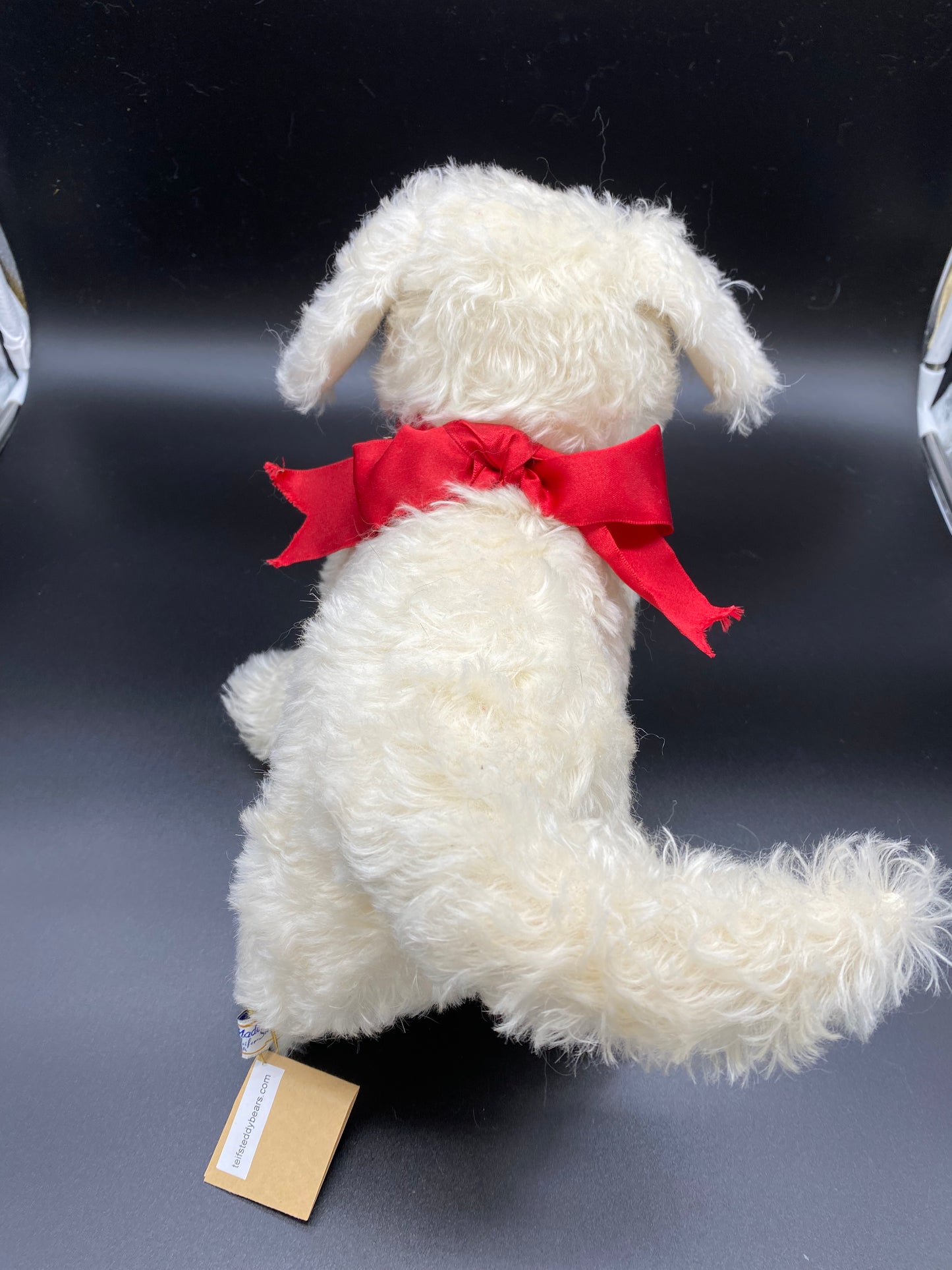 Bichon