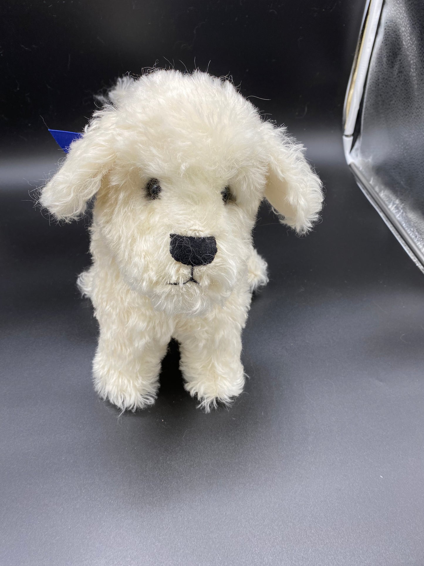 Bichon