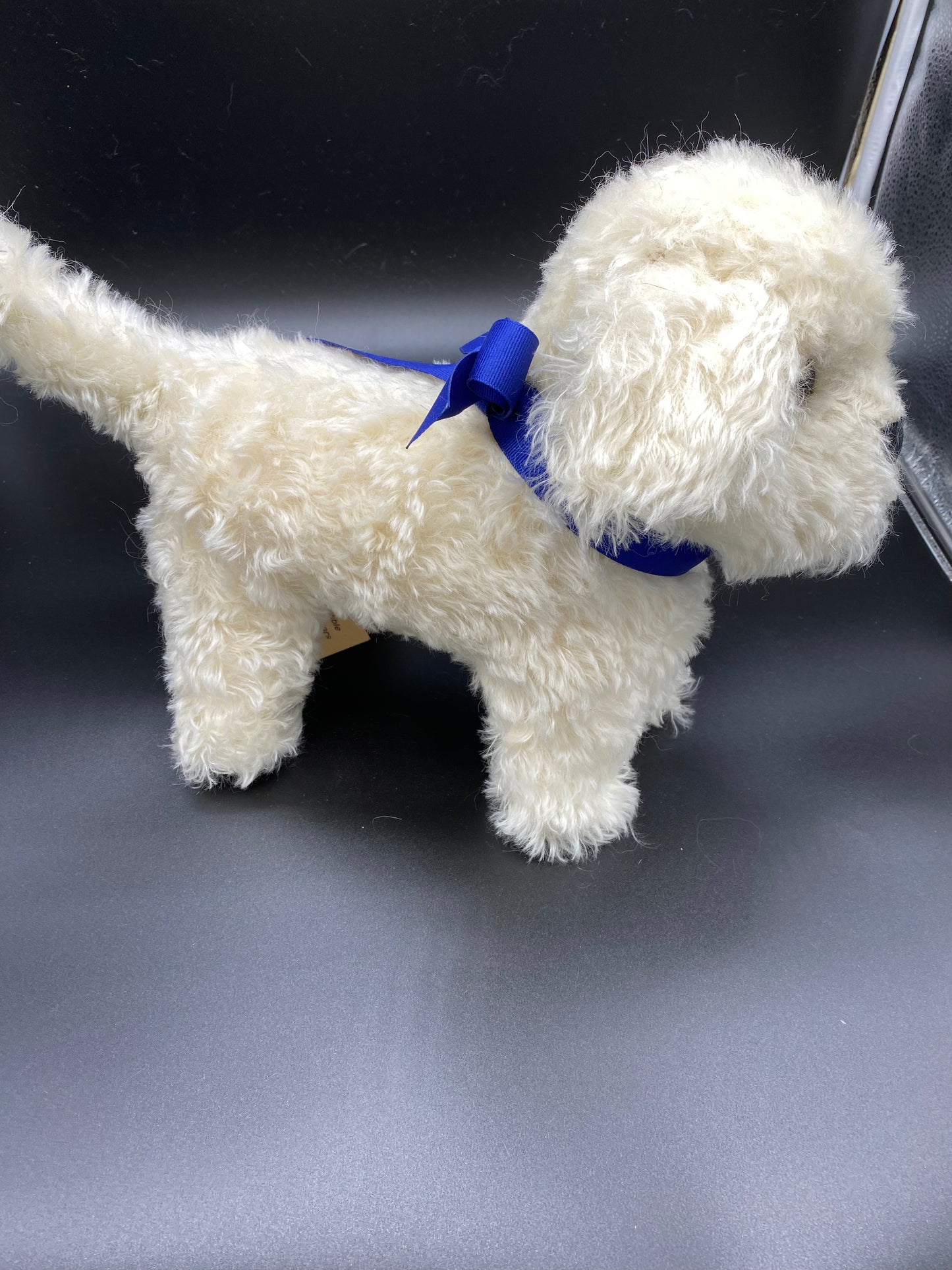 Bichon