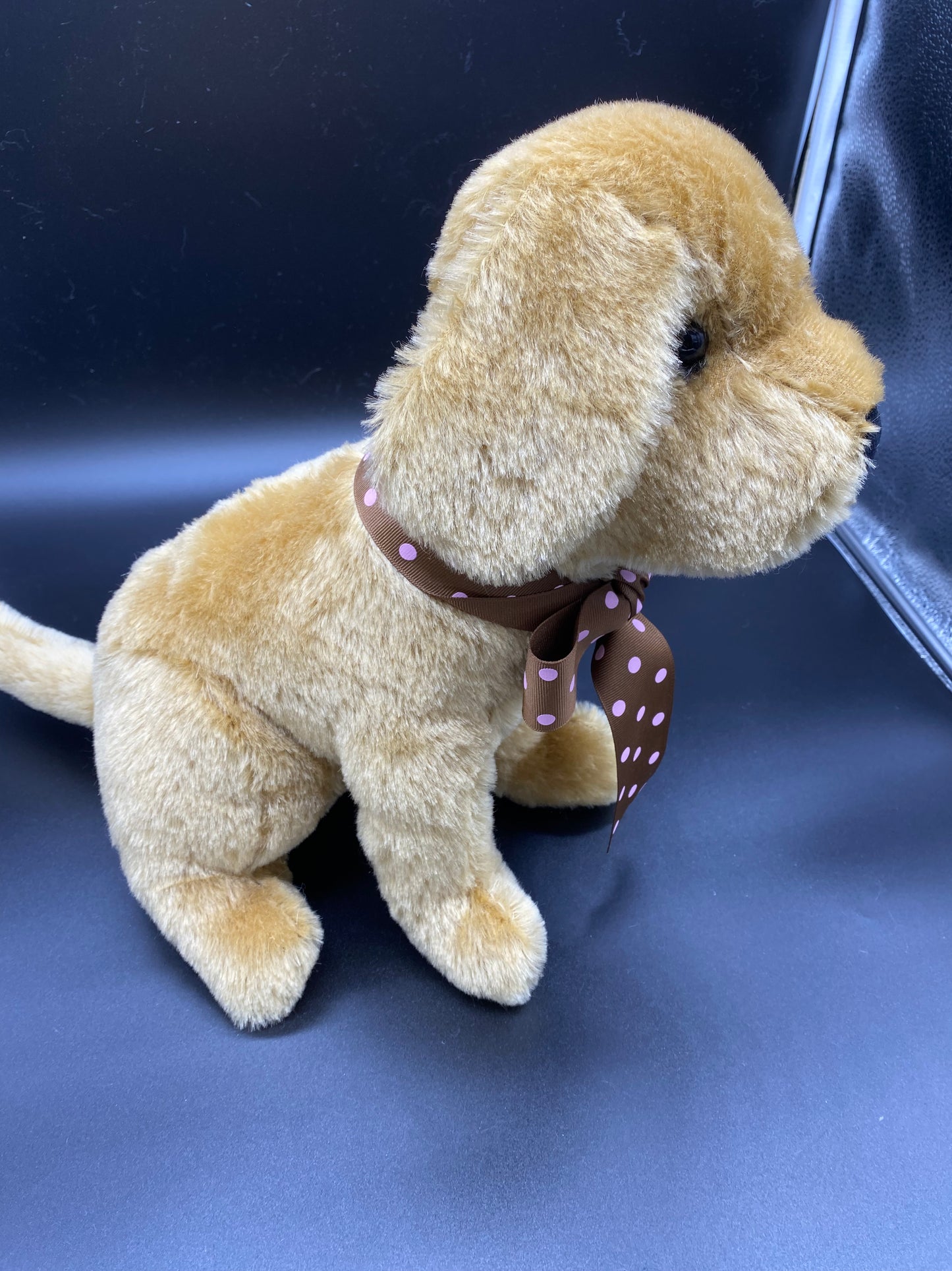Lab puppy