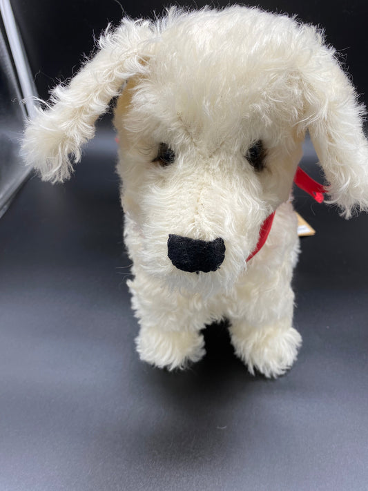 Bichon