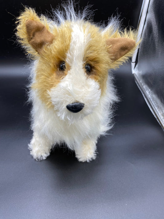 Collie