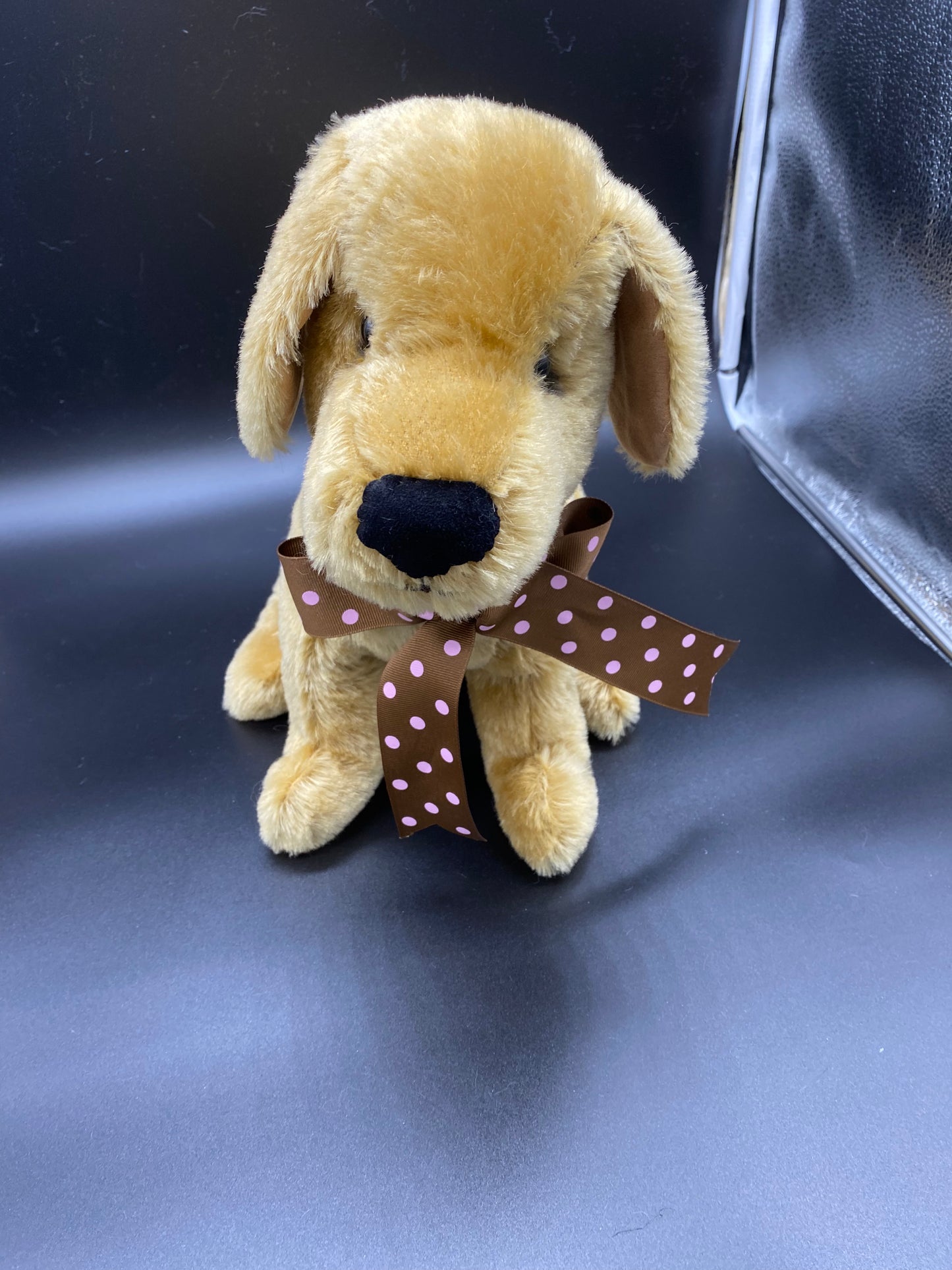 Lab puppy