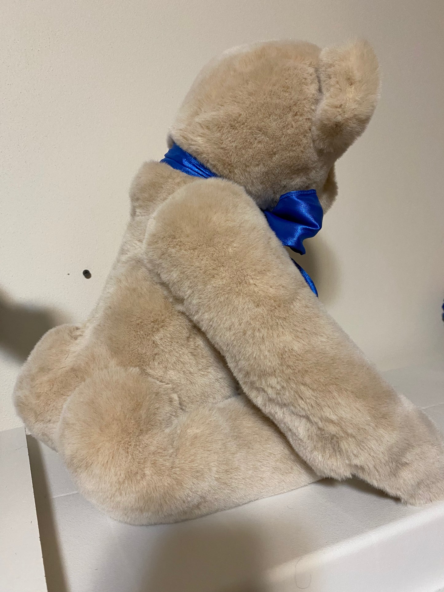 Teddy Bear