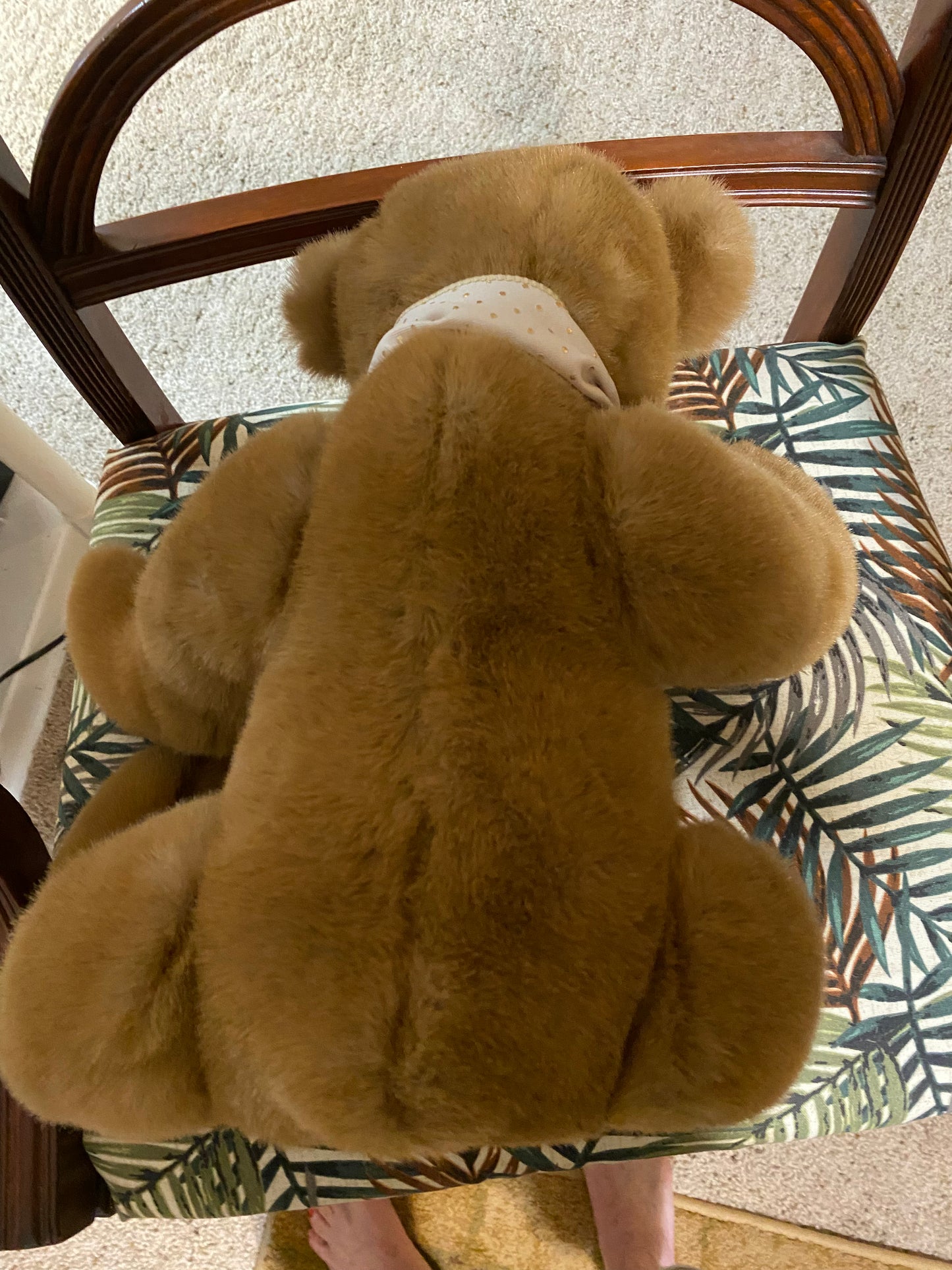 Cuddly Teddy Bear