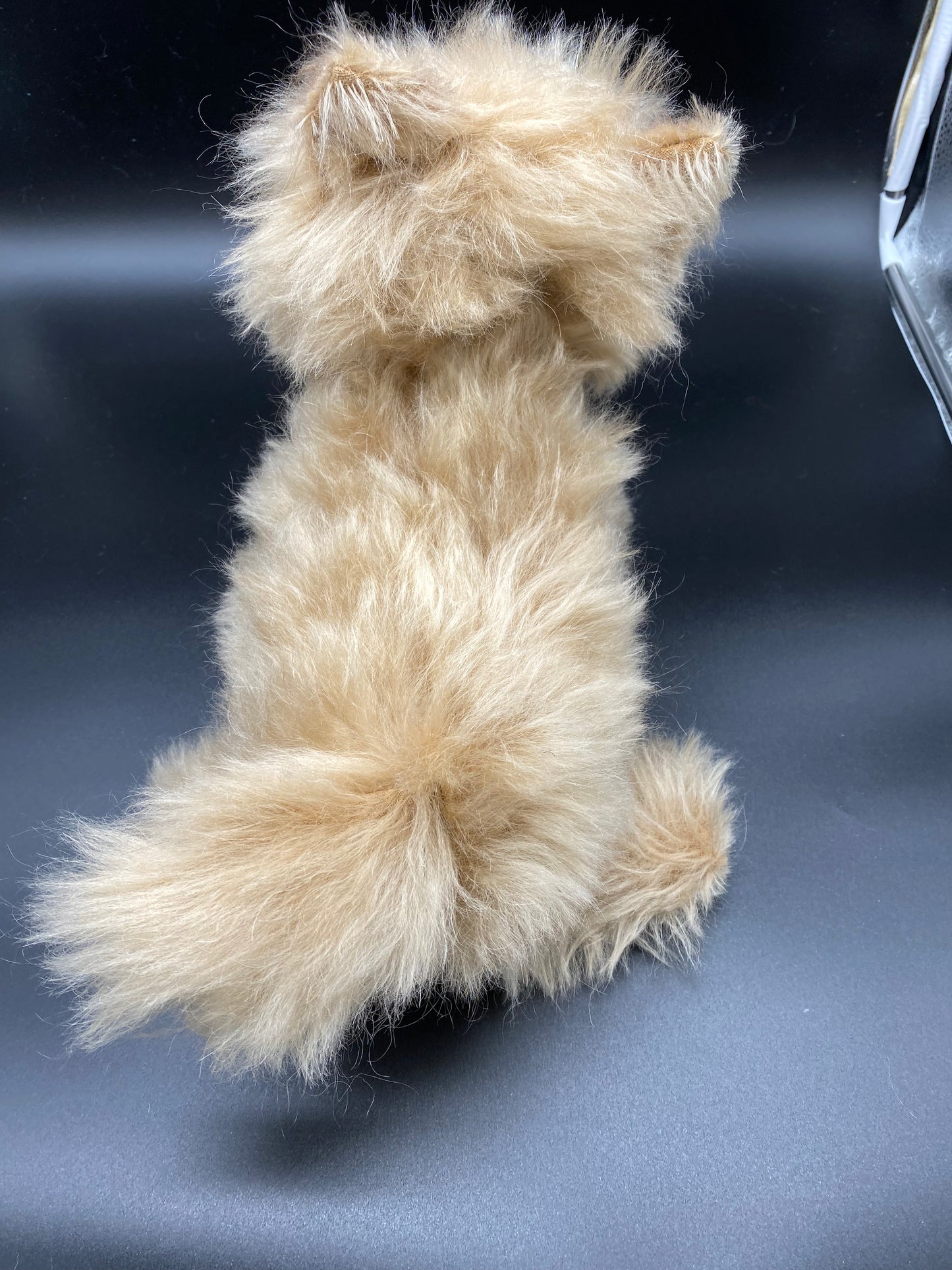Chow Chow Dog/Puppy