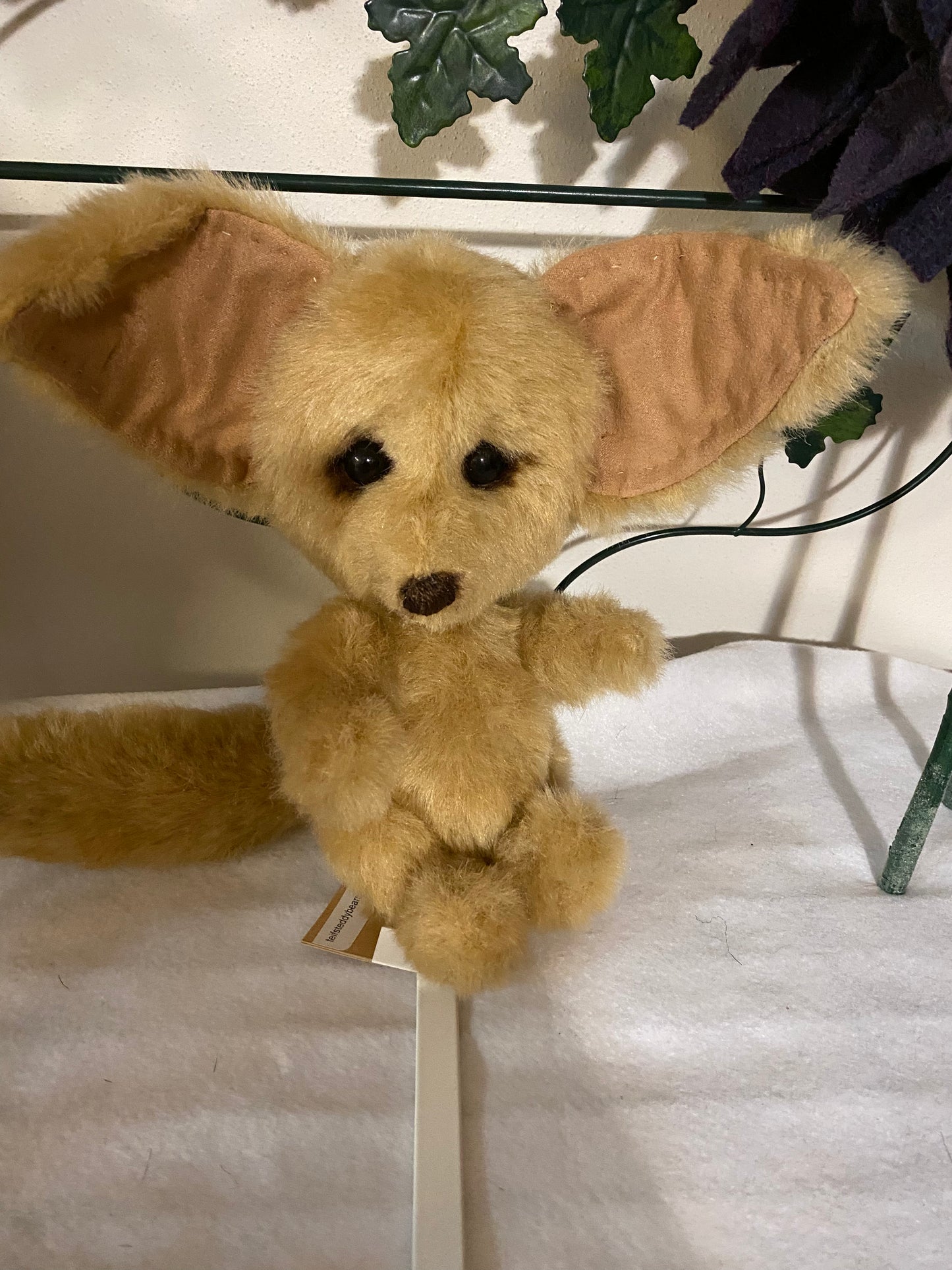 Fennec Fox